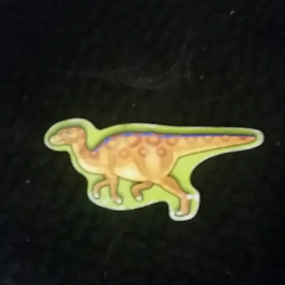 Dinosaur magnet